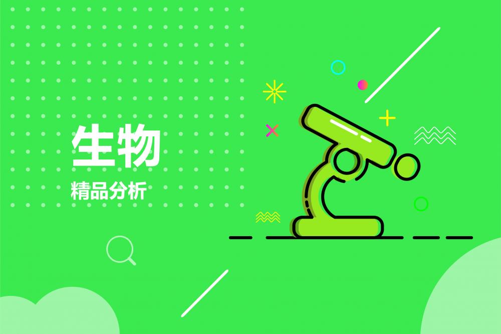 精选课程