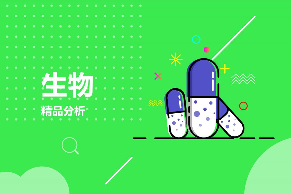 精选课程