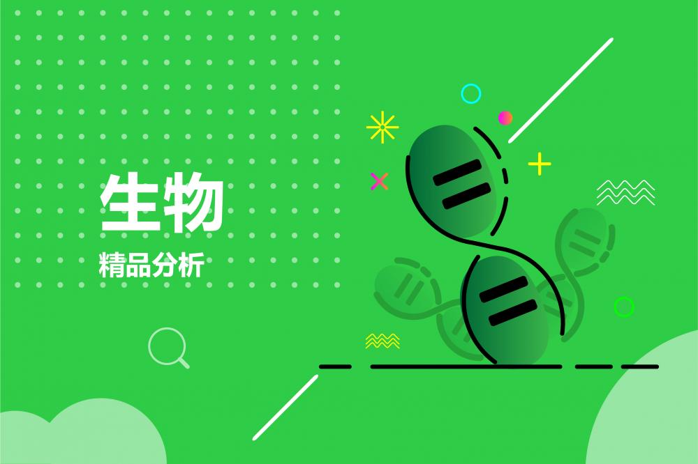 精选课程
